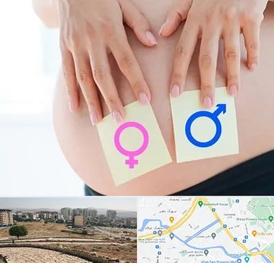 کلینیک تعیین جنسیت در کوی وحدت شیراز