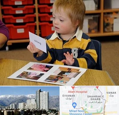 آموزش کودکان استثنایی در شهرک غرب 