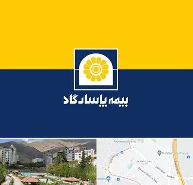 بیمه پاسارگاد در شهر زیبا