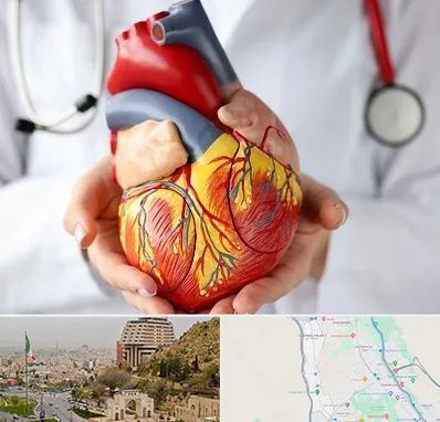 دکتر متخصص قلب و عروق در فرهنگ شهر شیراز