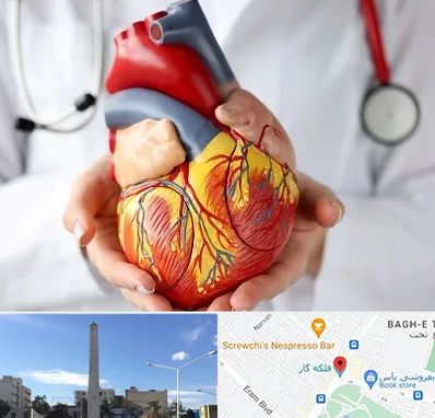 دکتر متخصص قلب و عروق در فلکه گاز شیراز