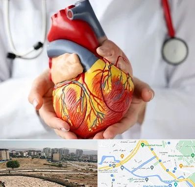 دکتر متخصص قلب و عروق در کوی وحدت شیراز