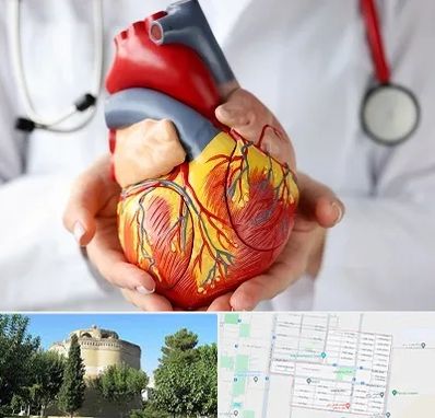 دکتر متخصص قلب و عروق در مرداویج اصفهان