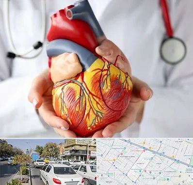 دکتر متخصص قلب و عروق در مفتح مشهد