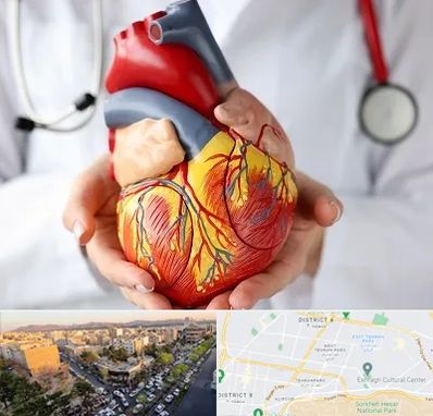 دکتر متخصص قلب و عروق در تهرانپارس 