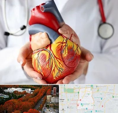 دکتر متخصص قلب و عروق در منطقه 6 تهران 