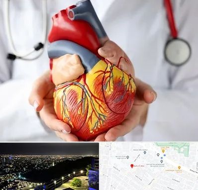 دکتر متخصص قلب و عروق در هفت تیر مشهد