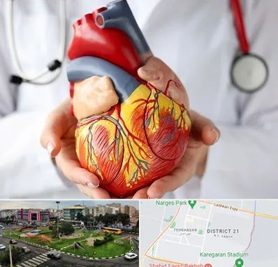 دکتر متخصص قلب و عروق در تهرانسر 