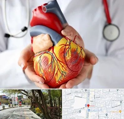 دکتر متخصص قلب و عروق در خیابان توحید اصفهان