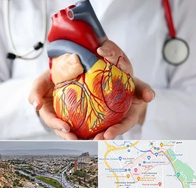 دکتر متخصص قلب و عروق در معالی آباد شیراز