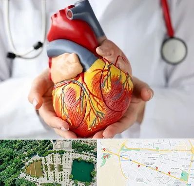دکتر متخصص قلب و عروق در وکیل آباد مشهد