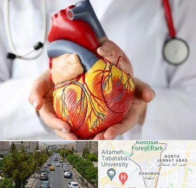 دکتر متخصص قلب و عروق در شهران 