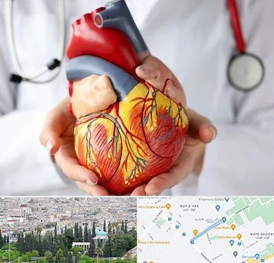 دکتر متخصص قلب و عروق در محلاتی شیراز