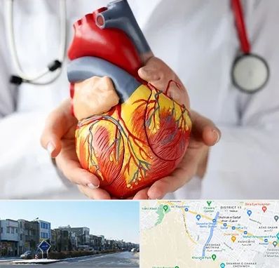 دکتر متخصص قلب و عروق در شریعتی مشهد
