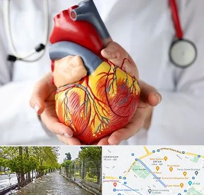 دکتر متخصص قلب و عروق در خیابان ارم شیراز