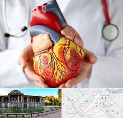 دکتر متخصص قلب و عروق در عفیف آباد شیراز