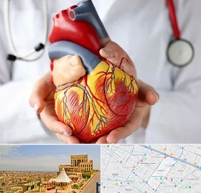 دکتر متخصص قلب و عروق در هاشمیه مشهد