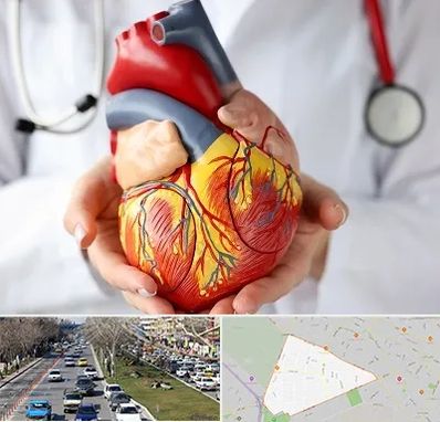 دکتر متخصص قلب و عروق در احمدآباد مشهد