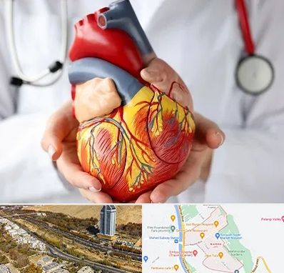 دکتر متخصص قلب و عروق در خیابان نیایش شیراز