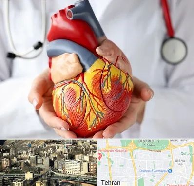 دکتر متخصص قلب و عروق در مرزداران 