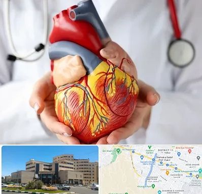 دکتر متخصص قلب و عروق در صیاد شیرازی مشهد