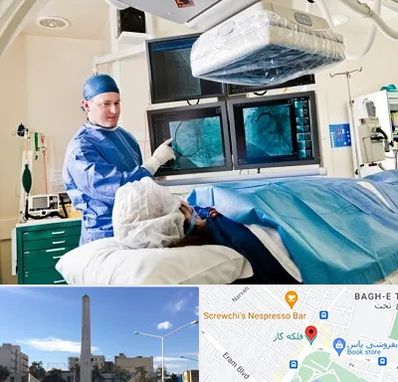 جراح قلب و عروق در فلکه گاز شیراز
