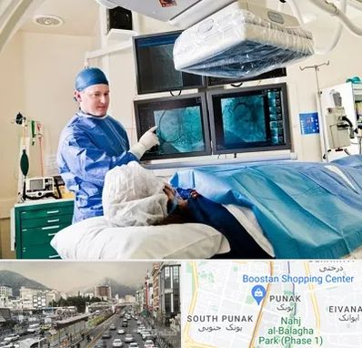 جراح قلب و عروق در پونک 