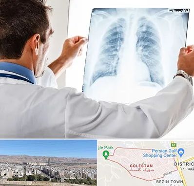 دکتر متخصص ریه در شهرک گلستان شیراز