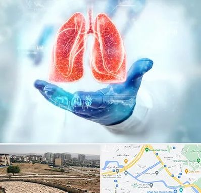 بیمارستان ریه در کوی وحدت شیراز