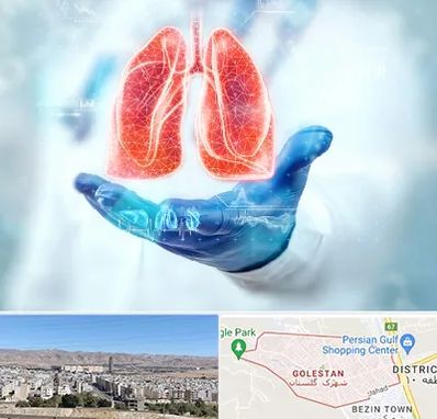 بیمارستان ریه در شهرک گلستان شیراز
