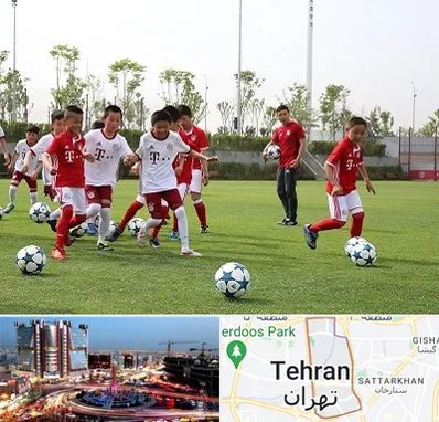 مدرسه فوتبال کودکان در صادقیه تهران