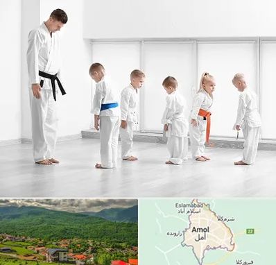 مربی کاراته در آمل