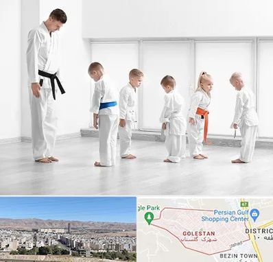 مربی کاراته در شهرک گلستان شیراز
