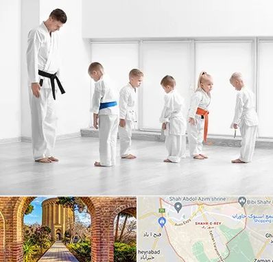مربی کاراته در شهر ری