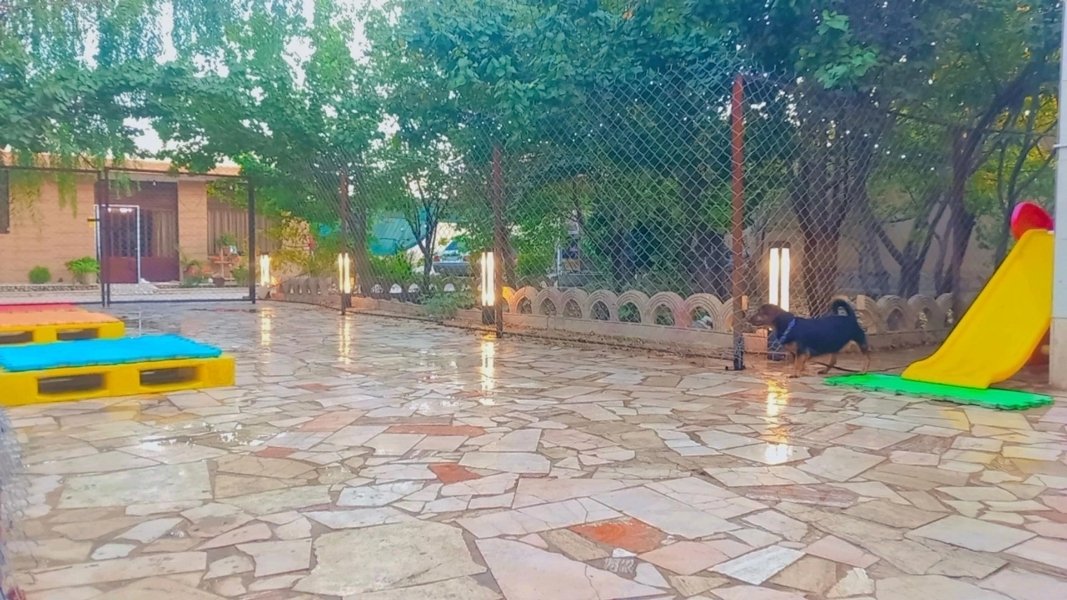 Image 5