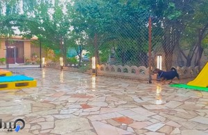 پانسیون حیوانات در اصفهان