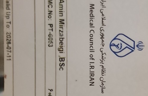 امین میرزابیگی