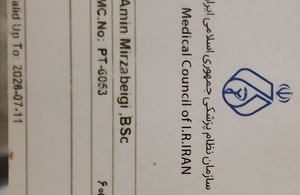 امین میرزابیگی 