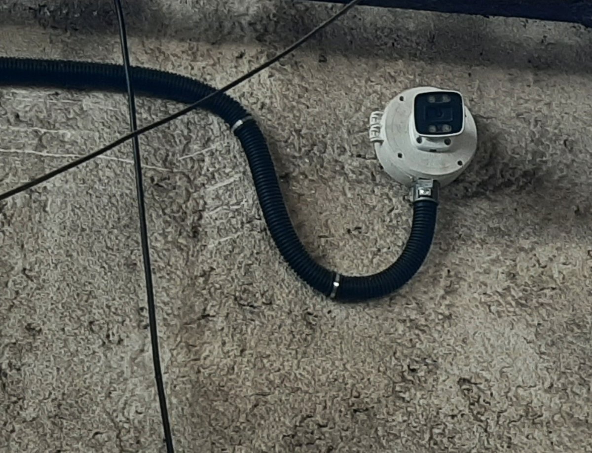 Image 13