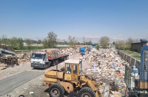آراز کارتن سلحشور