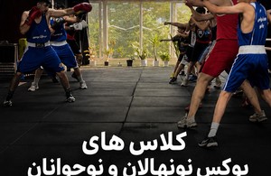 باشگاه تخصصی بوکس Lion