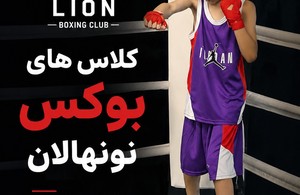 باشگاه تخصصی بوکس Lion