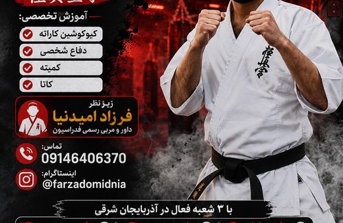 آموزش تخصصی کیوکشین کاراته تبریز