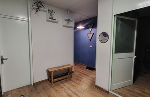 مایند اند بادی