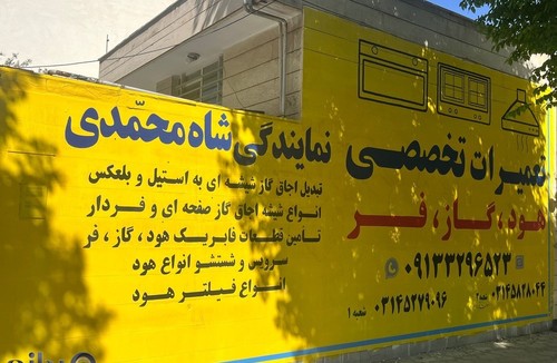 نمایندگی شاه محمدی