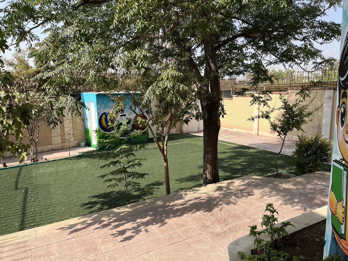 Image 11