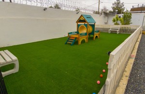 مجتمع دامپزشکی جان