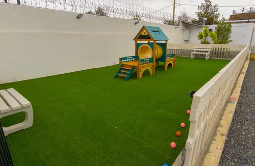 مجتمع دامپزشکی جان