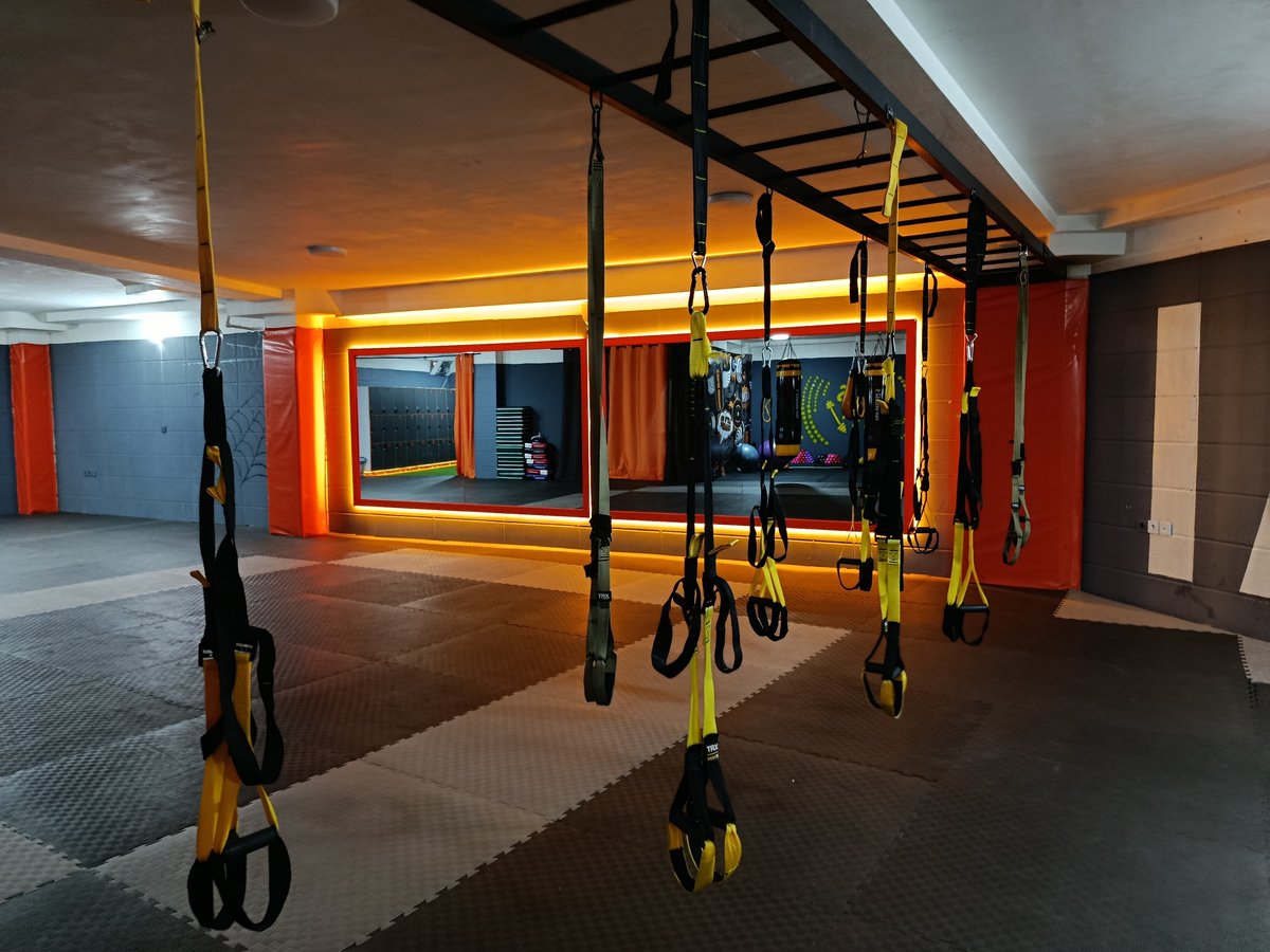 Image 2