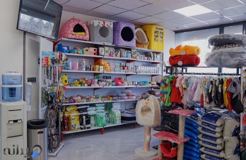 کلینیک دامپزشکی رد کارپت